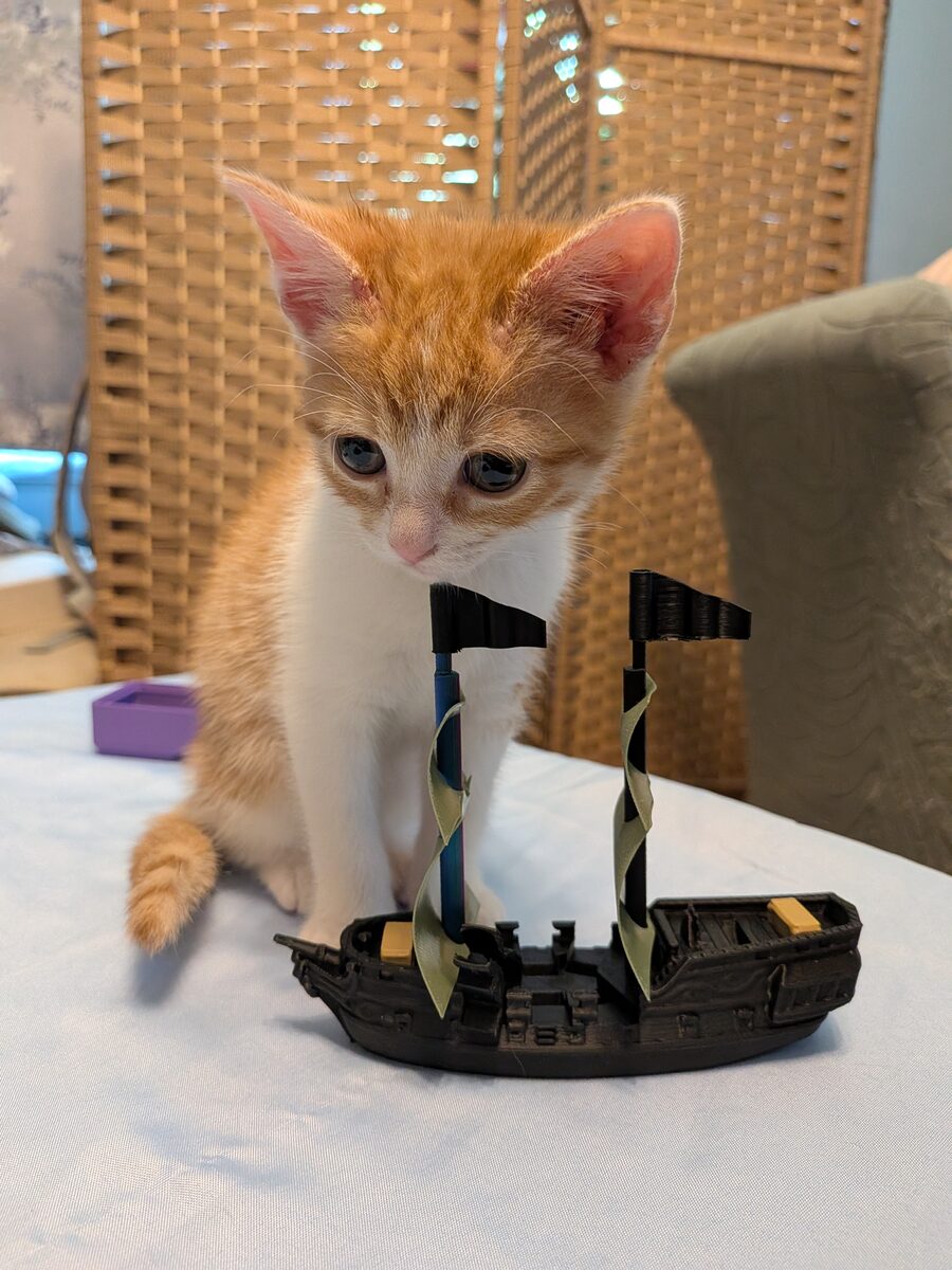 A kitten next to printed game pieces, for size comparison.